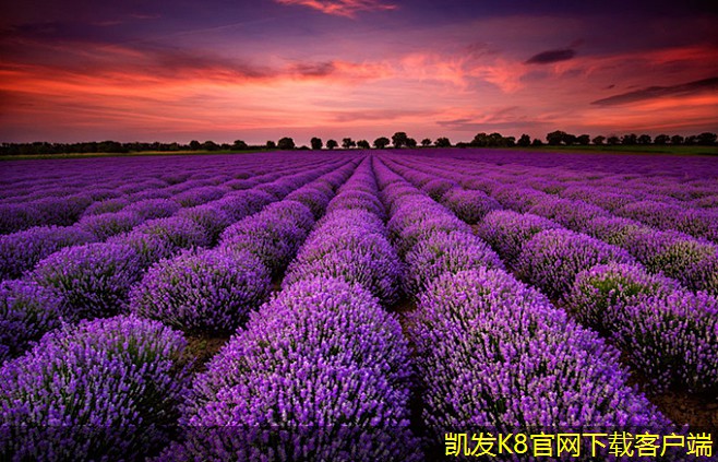 凱發(fā)K8官方手機(jī)app金屬防撞護(hù)欄的安裝
