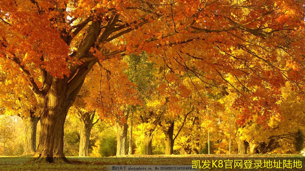 如何評(píng)估建筑護(hù)欄的性價(jià)比