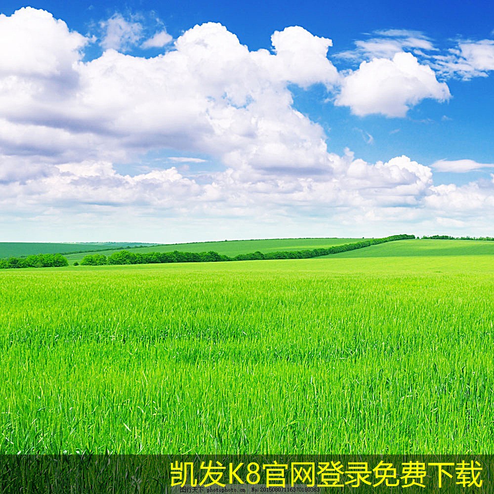 實用木制護欄的選購指南
