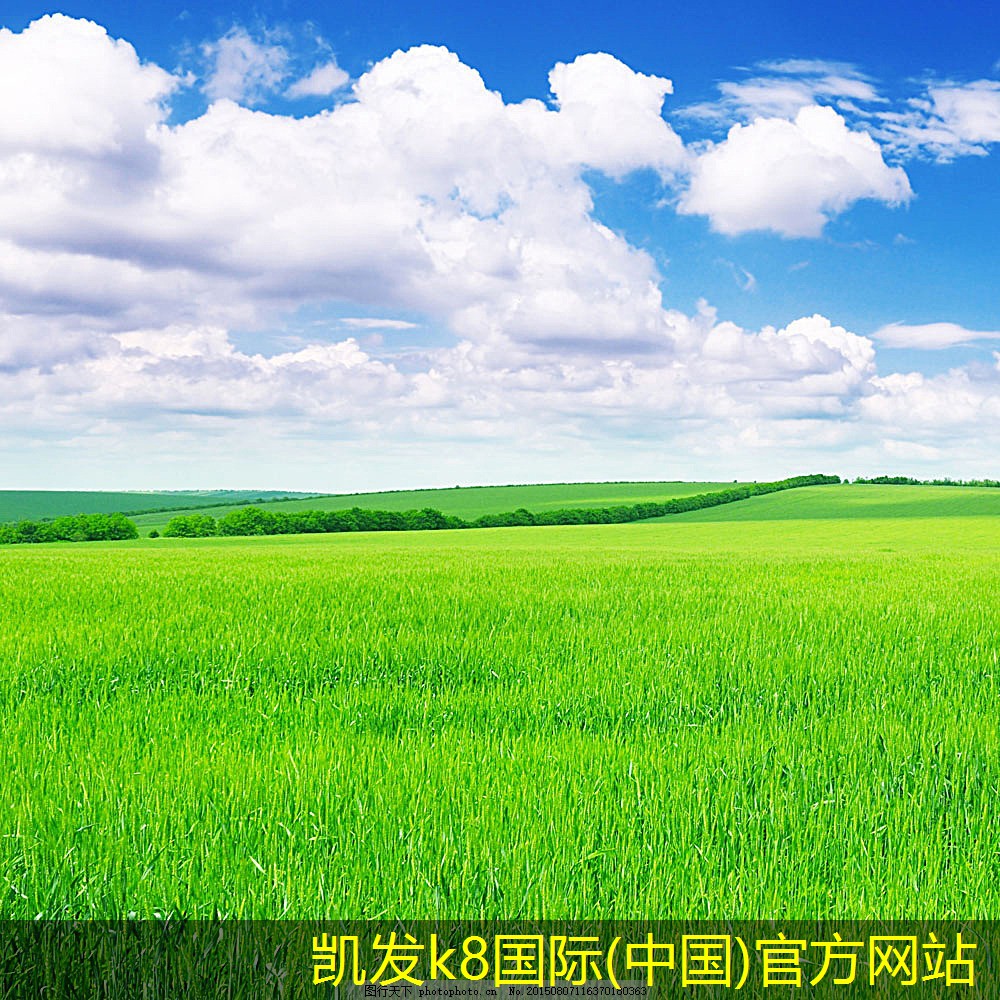 混凝土防撞護(hù)欄的成本效益分析