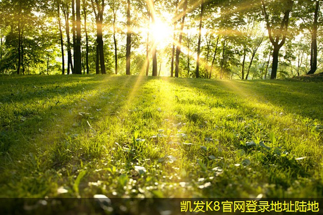 混凝土防撞護(hù)欄的施工工藝詳解
