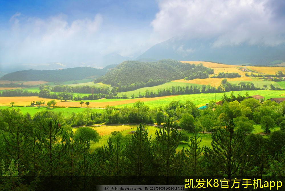 混凝土防撞護(hù)欄的美學(xué)設(shè)計(jì)考量