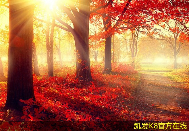 玻璃鋼護欄在公共設(shè)施中的應(yīng)用