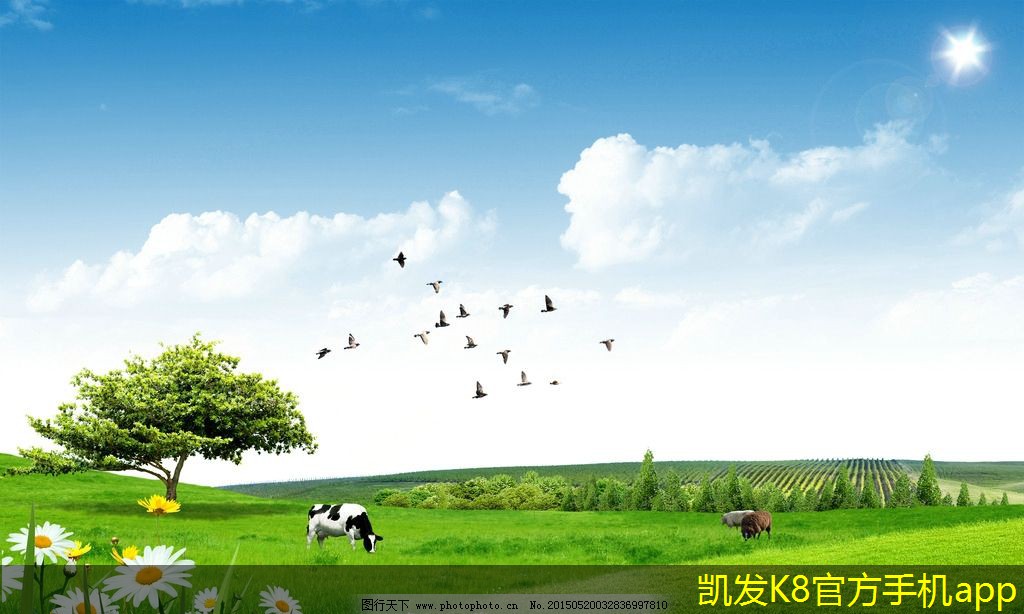 金屬護(hù)欄與圍墻的設(shè)計(jì)搭配